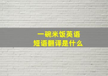 一碗米饭英语短语翻译是什么