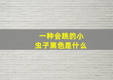 一种会跳的小虫子黑色是什么