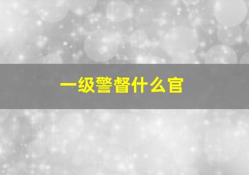 一级警督什么官