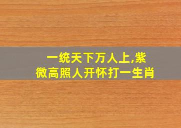 一统天下万人上,紫微高照人开怀打一生肖