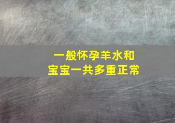 一般怀孕羊水和宝宝一共多重正常