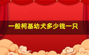 一般柯基幼犬多少钱一只