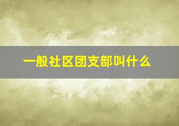 一般社区团支部叫什么