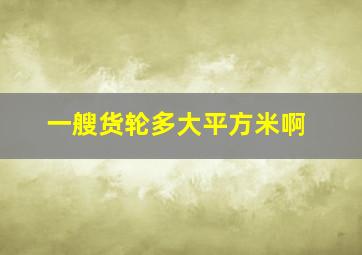 一艘货轮多大平方米啊