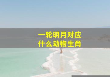 一轮明月对应什么动物生肖