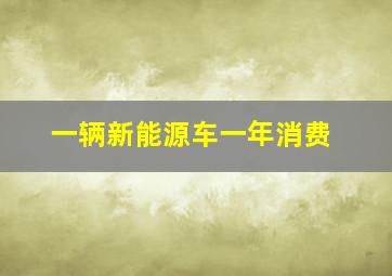 一辆新能源车一年消费