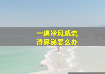 一遇冷风就流清鼻涕怎么办