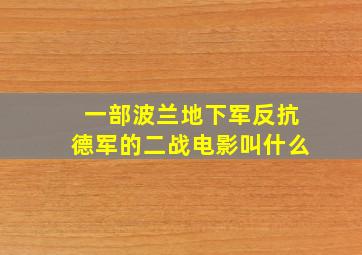 一部波兰地下军反抗德军的二战电影叫什么