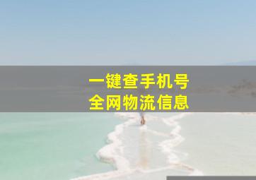 一键查手机号全网物流信息