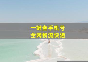 一键查手机号全网物流快递