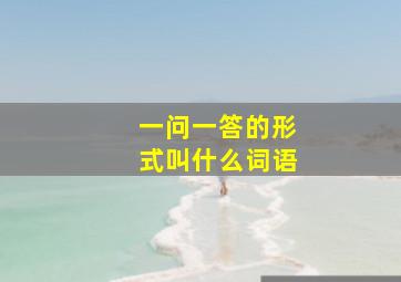 一问一答的形式叫什么词语