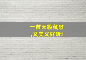 一首天籁藏歌,又美又好听!