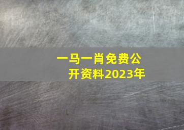 一马一肖免费公开资料2023年