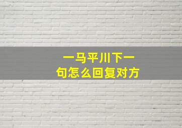 一马平川下一句怎么回复对方