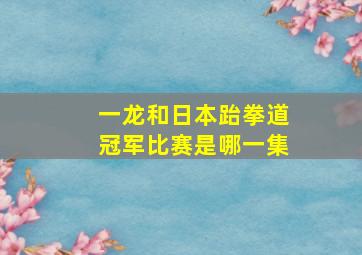 一龙和日本跆拳道冠军比赛是哪一集