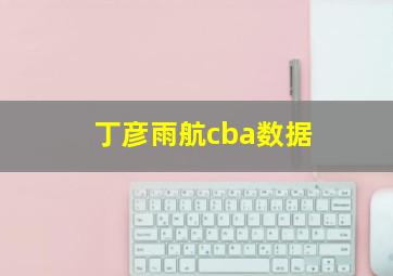 丁彦雨航cba数据