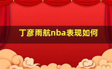 丁彦雨航nba表现如何