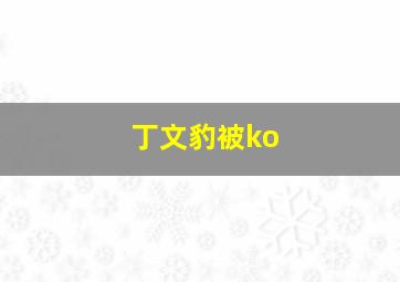 丁文豹被ko