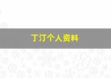 丁汀个人资料