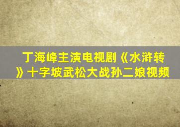 丁海峰主演电视剧《水浒转》十字坡武松大战孙二娘视频