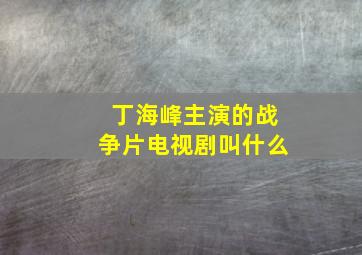 丁海峰主演的战争片电视剧叫什么