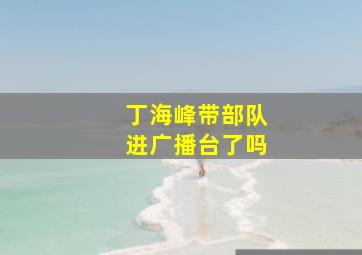 丁海峰带部队进广播台了吗