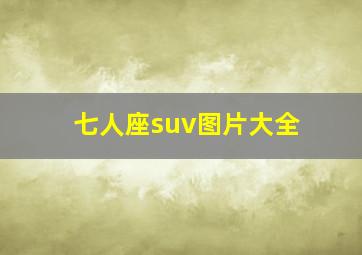 七人座suv图片大全