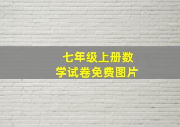 七年级上册数学试卷免费图片