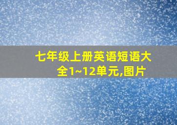 七年级上册英语短语大全1~12单元,图片