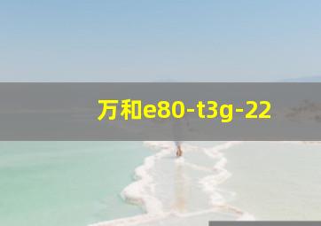 万和e80-t3g-22