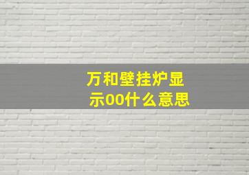 万和壁挂炉显示00什么意思