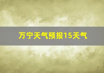 万宁天气预报15天气