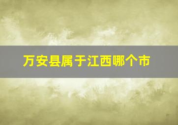 万安县属于江西哪个市