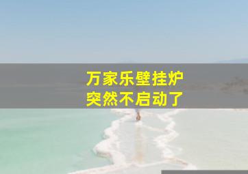 万家乐壁挂炉突然不启动了