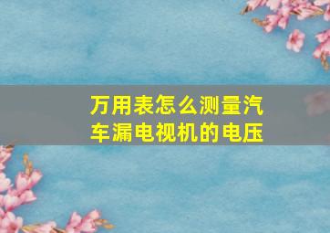 万用表怎么测量汽车漏电视机的电压