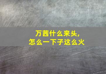 万茜什么来头,怎么一下子这么火