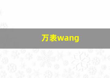 万表wang