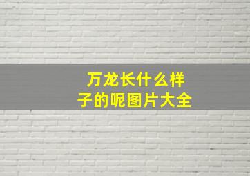 万龙长什么样子的呢图片大全