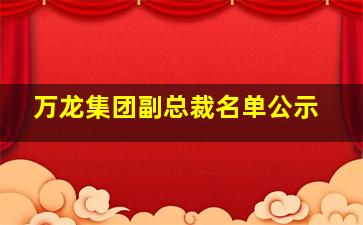 万龙集团副总裁名单公示