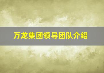 万龙集团领导团队介绍