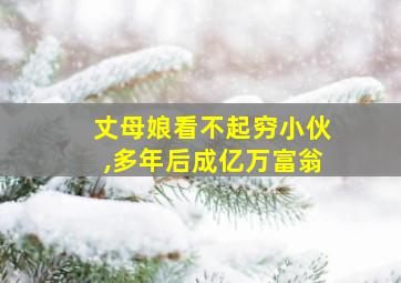 丈母娘看不起穷小伙,多年后成亿万富翁