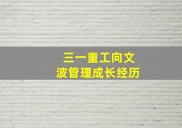 三一重工向文波管理成长经历