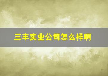 三丰实业公司怎么样啊