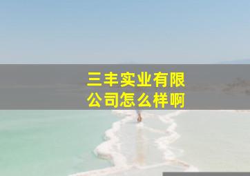 三丰实业有限公司怎么样啊