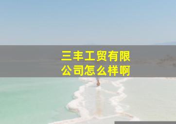 三丰工贸有限公司怎么样啊