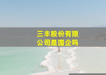 三丰股份有限公司是国企吗