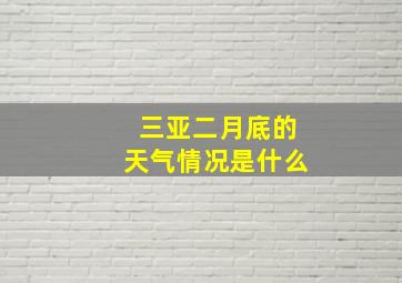 三亚二月底的天气情况是什么