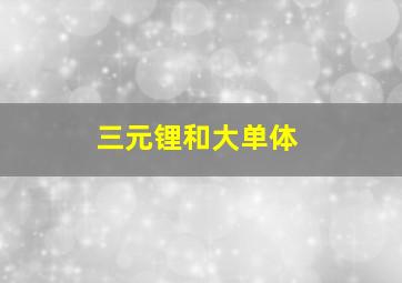 三元锂和大单体