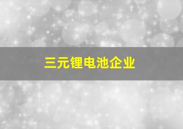 三元锂电池企业