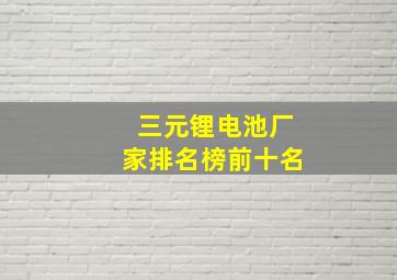 三元锂电池厂家排名榜前十名